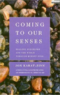 Coming to Our Senses by Jon Kabat-Zinn