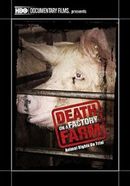 Death on a Factory Farm