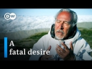 Greed: A Fatal Desire