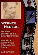 How Much Wood Would a Woodchuck Chuck by Werner Herzog