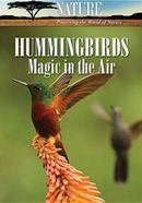 Hummingbirds: Magic in the Air