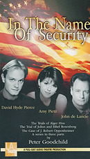 In the Name of Security by Peter  Goodchild