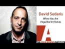 David Sedaris on When You Are Engulfed in Flames by David Sedaris