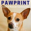 Pawprint Animal Rescue Podcast by Harold Rhee