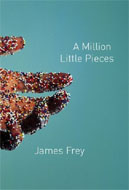 A Million Little Pieces by James Frey