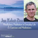 Mindfulness Meditation in Everyday Life and Exercises & Meditations by Jon Kabat-Zinn