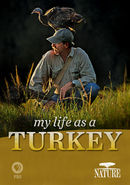 My Life as a Turkey