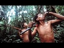 Nomads of the Rainforest
