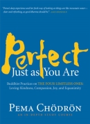 Perfect Just As You Are by Pema Chodron