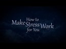 Why You Stress by Kimberlee Bethany Bonura