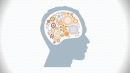 Psychology of Popularity by Mitch Prinstein