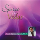 The Spirit of the Vedas by Pandit Rajmani Tigunait