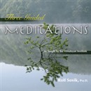 Three Guided Meditations: As Taught by the Himalayan Institute by Rolf Sovik