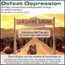 Defeat Depression by Abe Kass