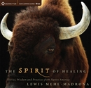 The Spirit of Healing by Lewis Mehl-Medrona