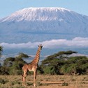 African Experience: From "Lucy" to Mandela by Kenneth P. Vickery