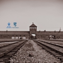 The Holocaust, Part II: The Final Solution by Havi Dreifuss