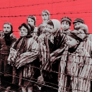 The Holocaust: The Destruction of European Jewry by Murray Baumgarten