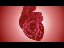 The Heart of the Matter by Martin Elliott