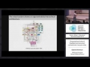 Brains, Minds, and Machines by Tomaso Poggio