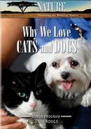 Why We Love Cats and Dogs