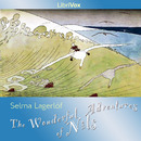 The Wonderful Adventures of Nils by Selma Lagerlof