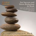 Mindful Solutions for Success and Stress Reduction at Work by Elisha Goldstein
