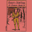 Adrift in New York by Horatio Alger, Jr.
