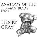 Anatomy of the Human Body, Part 3 by Henry Gray