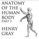 Anatomy of the Human Body, Part 5 by Henry Gray