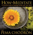 How to Meditate with Pema Chodron by Pema Chodron