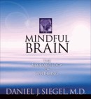The Mindful Brain by Daniel Siegel