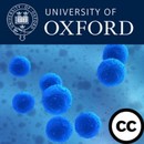 Bioethics: An Introduction by Marianne Talbot