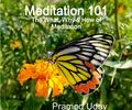 Meditation 101 by Pramod Uday