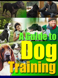 A Guide To Dog Training by Andy Guides