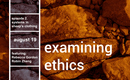 2: Systems in Sheep's Clothing by Prindle Institute for Ethics