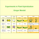 Experiments on Plant Hybridisation by Gregor Mendel