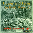Flowers and Ferns in their Haunts by Mabel Wright