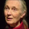 Jane Goodall: Blessing the Animals by Jane Goodall