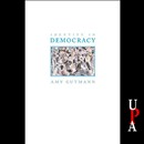 Identity in Democracy by Amy Gutmann