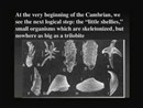 Michael Shermer: Why Darwin Matters by Michael Shermer