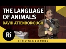 David Attenborough: Christmas Lectures on The Language of Animals by David Attenborough