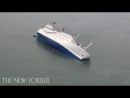 The New Yorker Documentaries