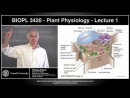Plant Physiology by Tom Owens
