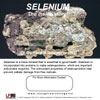 Selenium by Dr. Gerhard  Schrauzer
