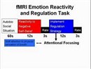 Cognitive Neuroscience of Mindfulness Meditation by Philippe Goldin