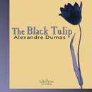 The Black Tulip by Alexandre Dumas