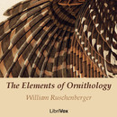 The Elements of Ornithology by William Ruschenberger