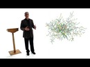 The Science Behind Social Networks and Social Influence by Nicholas A. Christakis