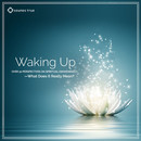 Waking Up: Two Free Talks on Spiritual Awakening by Tami Simon